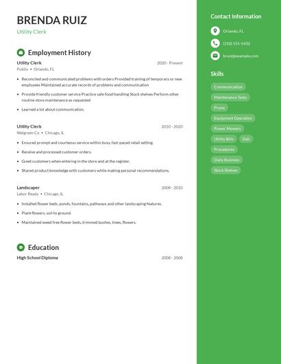 Resume example 4
