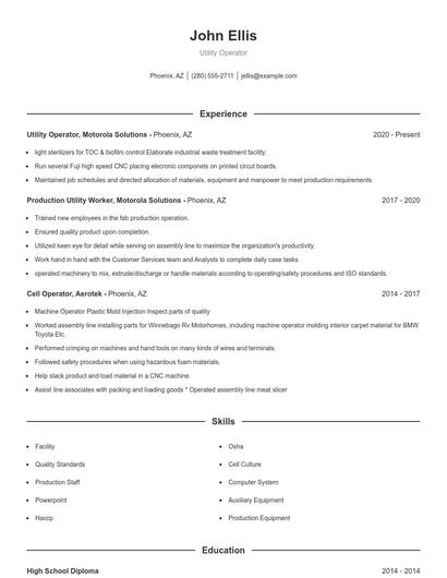 Resume example 1