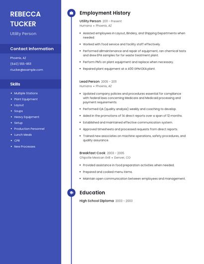 Resume example 4