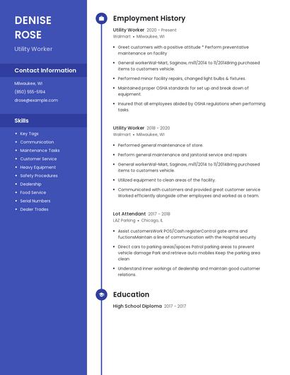 Resume example 4
