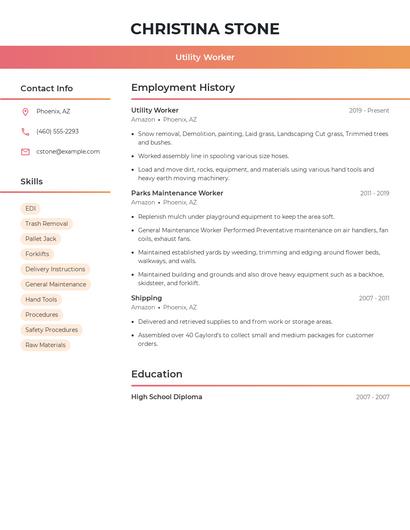 Resume example 3