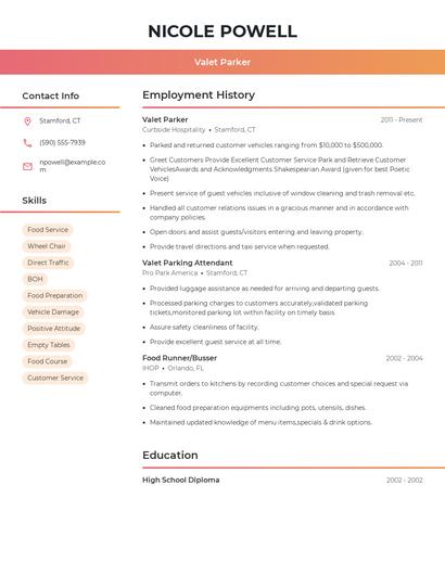 Resume example 3