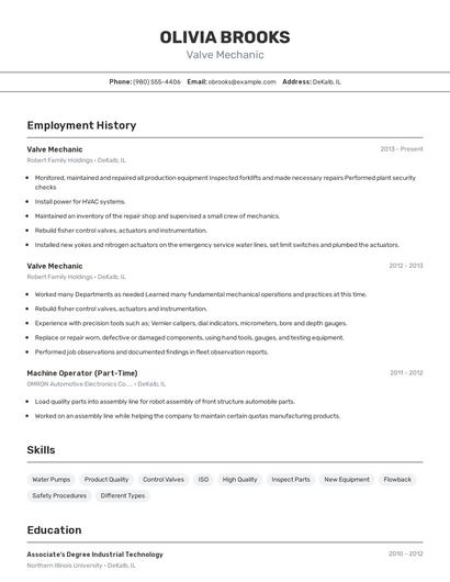 Valve Mechanic Resume