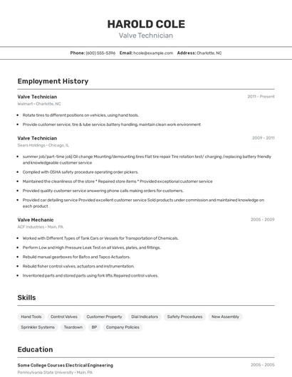 Resume example 2