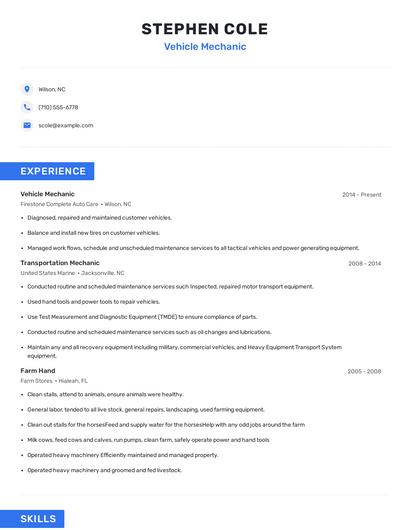 Vehicle Mechanic Resume