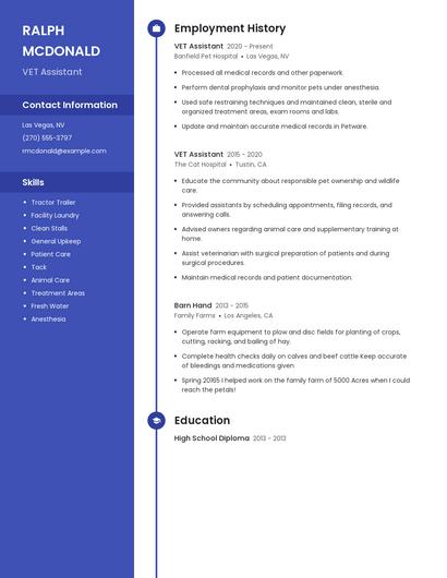 VET Assistant Resume