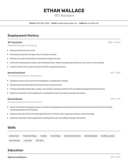 VET Assistant Resume