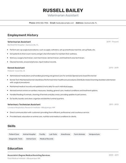 Resume example 2
