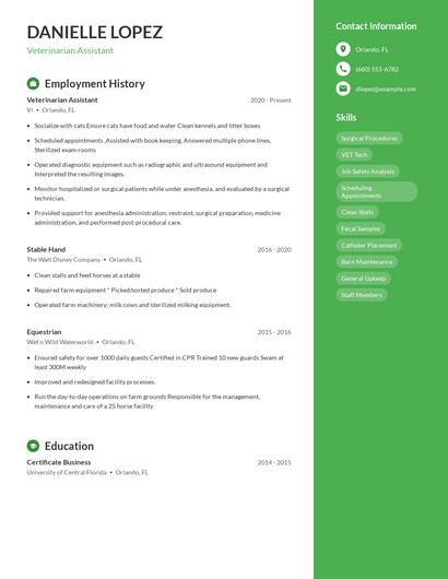 Resume example 4