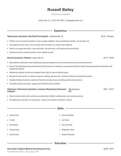 Resume example 1