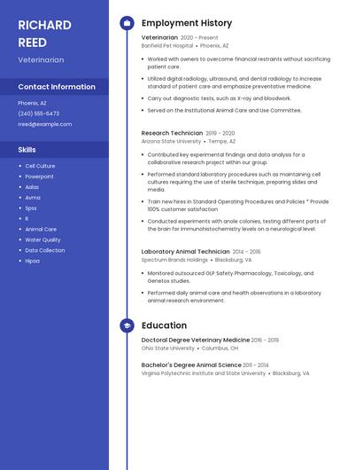 Resume example 5