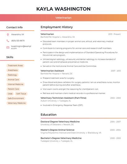 Resume example 3