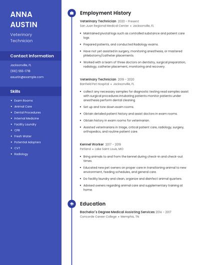 Resume example 5