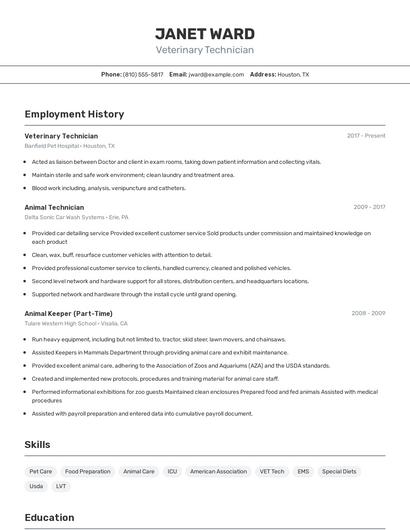 Resume example 2