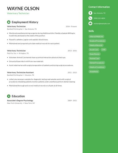 Resume example 4