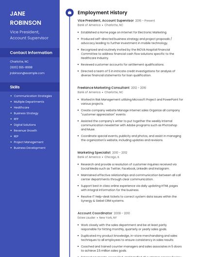 Vice President, Account Supervisor Resume