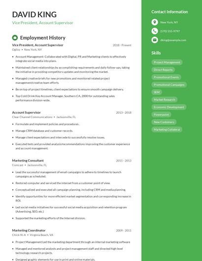 Vice President, Account Supervisor Resume