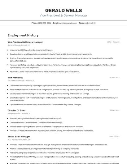 Resume example 2