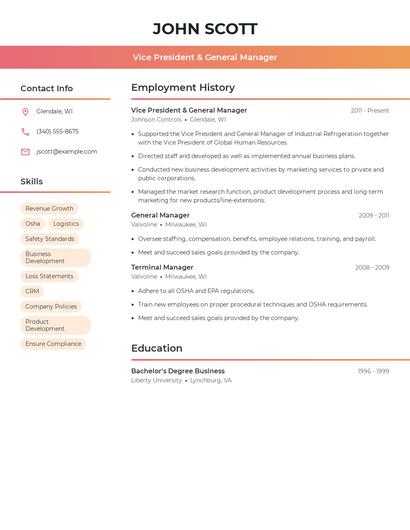 Resume example 3