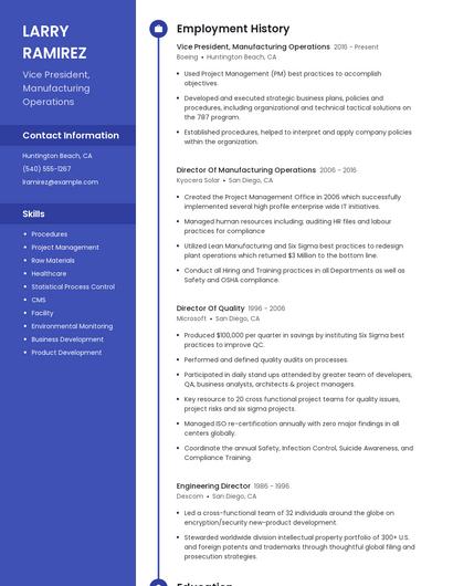 Vice President, Manufacturing Operations Resume