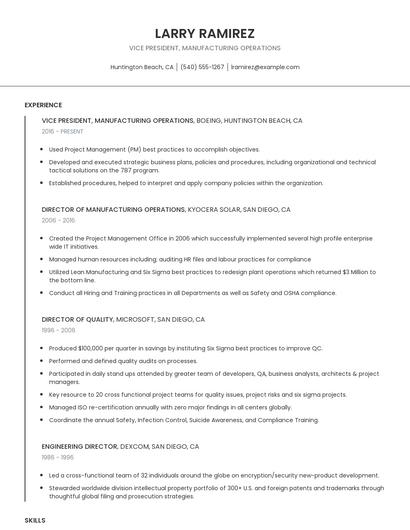 Vice President, Manufacturing Operations Resume