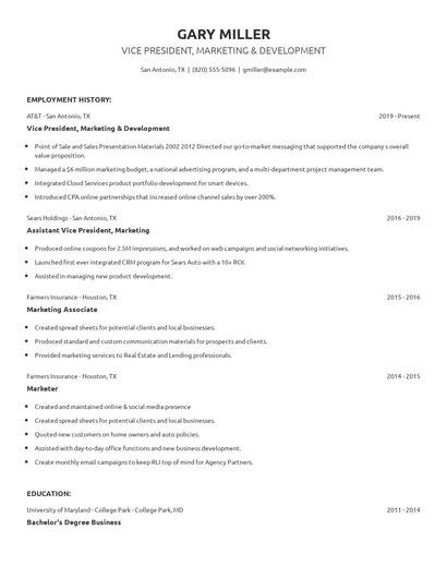 Vice President, Marketing & Development Resume
