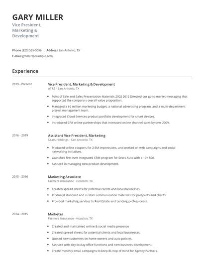 Vice President, Marketing & Development Resume