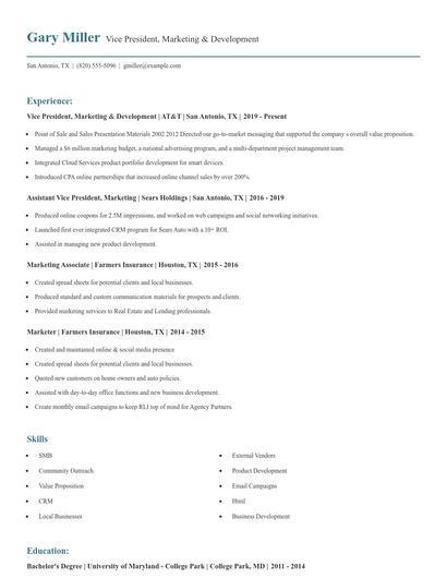 Vice President, Marketing & Development Resume