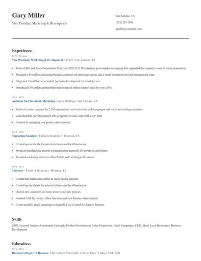 Vice President, Marketing & Development Resume