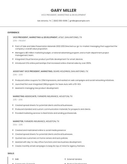 Vice President, Marketing & Development Resume