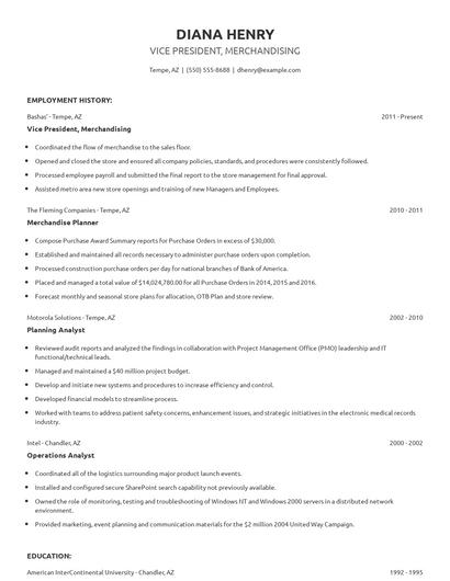 Vice President, Merchandising Resume
