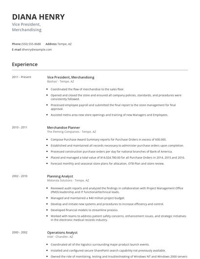 Vice President, Merchandising Resume