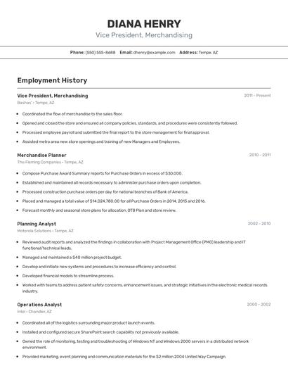 Vice President, Merchandising Resume