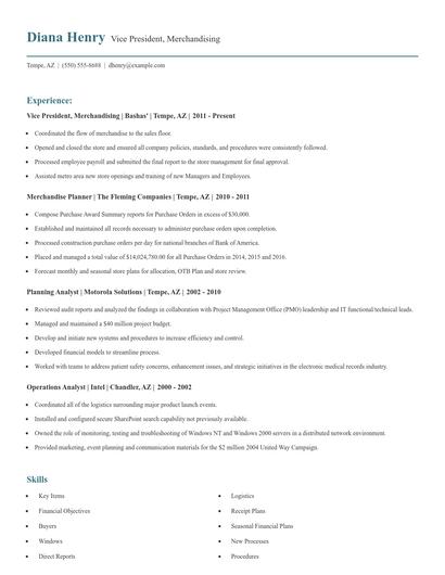 Vice President, Merchandising Resume