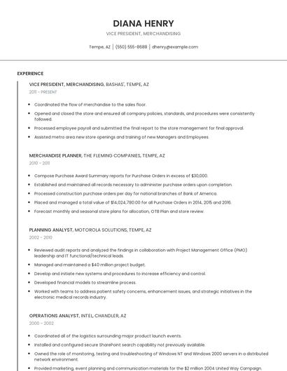 Vice President, Merchandising Resume