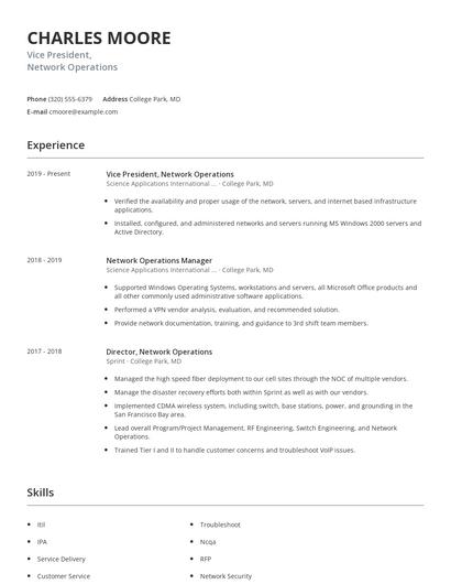 Vice President, Network Operations Resume