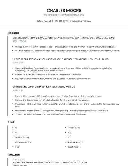Vice President, Network Operations Resume