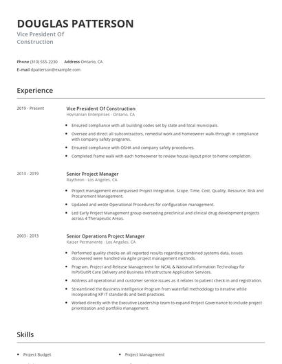 Vice President Of Construction Resume