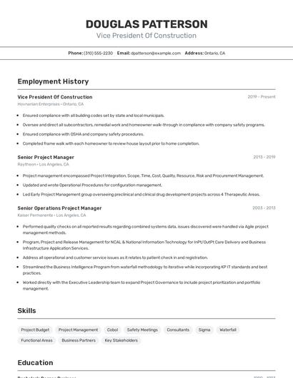 Vice President Of Construction Resume