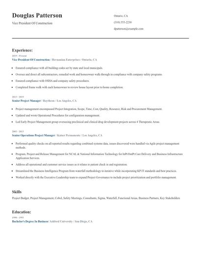 Vice President Of Construction Resume
