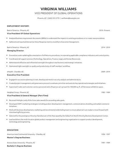 Vice President Of Global Operations Resume