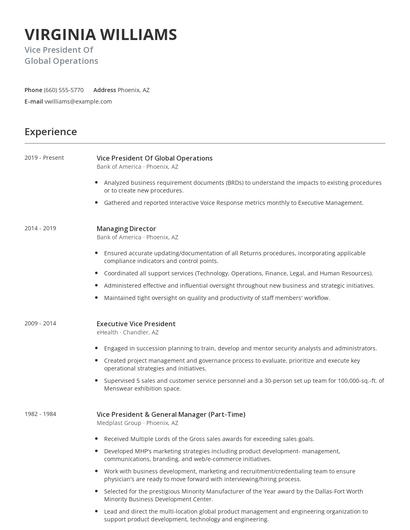 Vice President Of Global Operations Resume