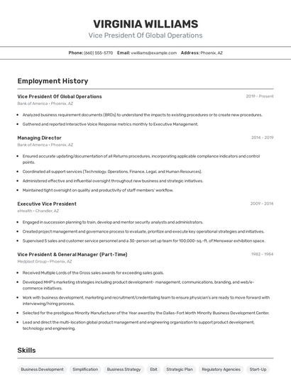 Vice President Of Global Operations Resume
