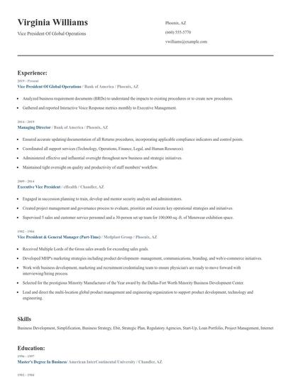 Vice President Of Global Operations Resume