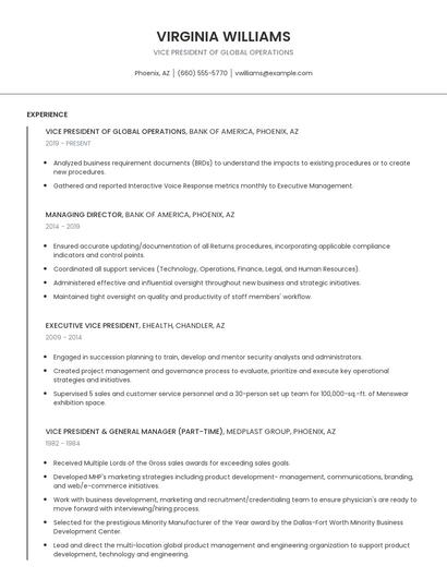 Vice President Of Global Operations Resume