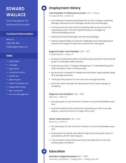 Vice President Of National Accounts Resume