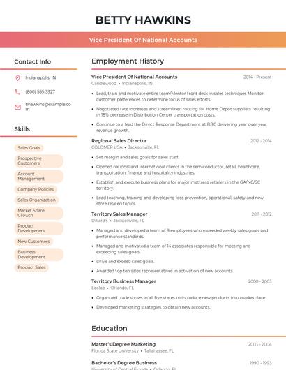 Vice President Of National Accounts Resume