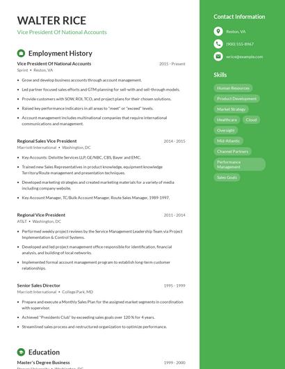 Vice President Of National Accounts Resume