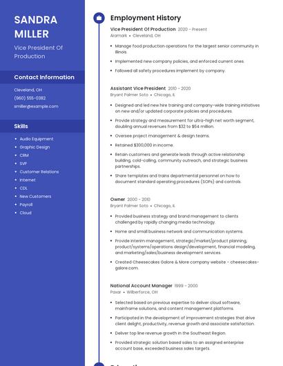 Vice President Of Production Resume