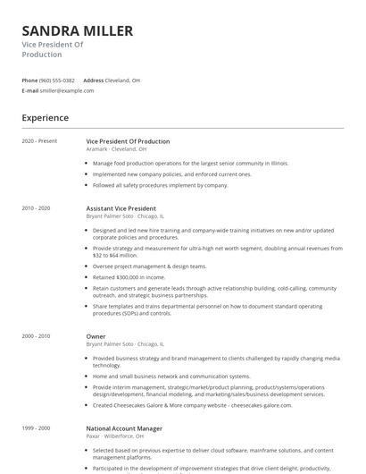 Vice President Of Production Resume